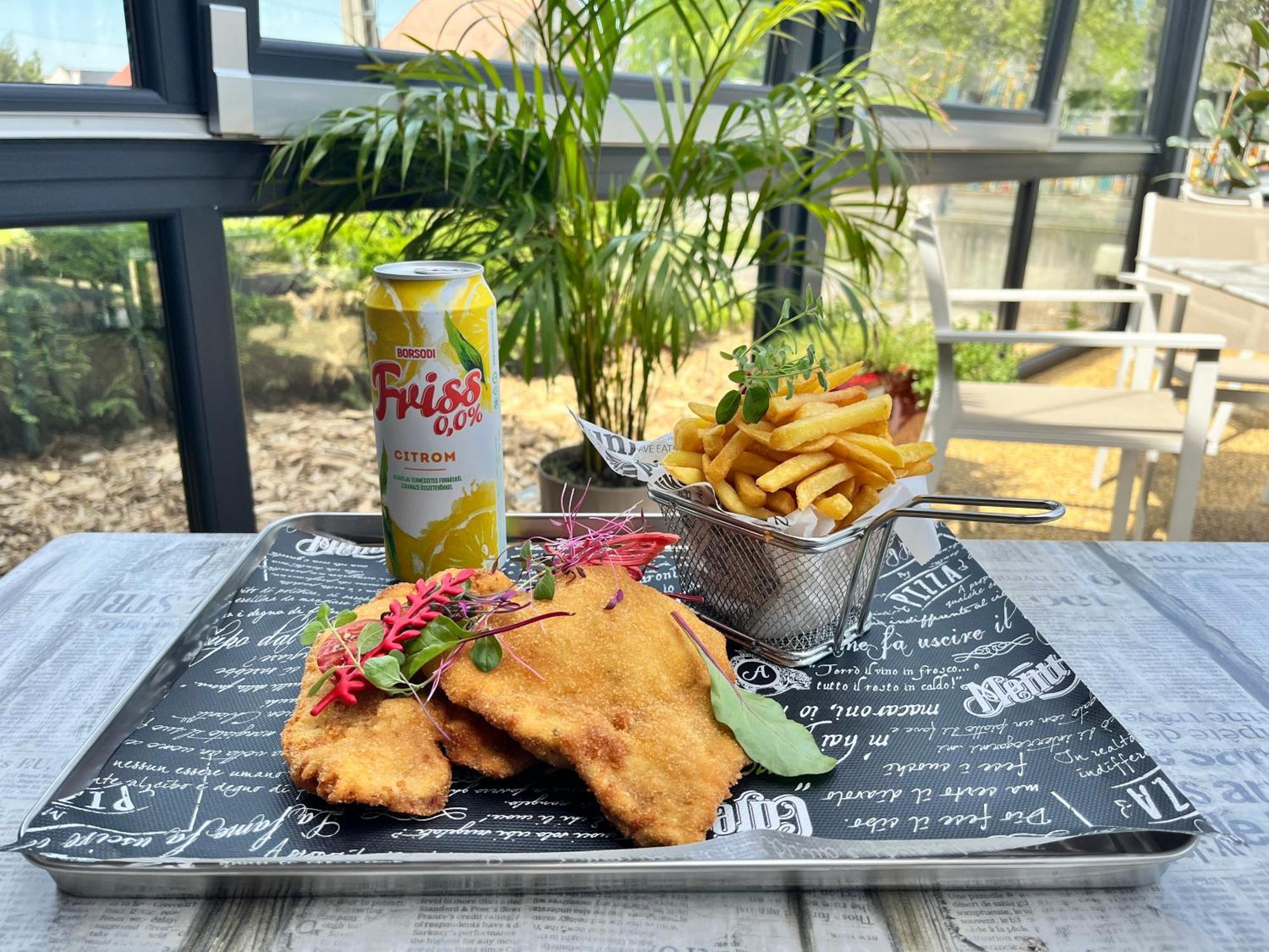 ホテル Pipacs Panir & Grill Garden Vendeghaz Győrújbarát エクステリア 写真
